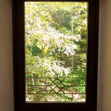 Agriturismo San Lorenzo In Torre Urbania