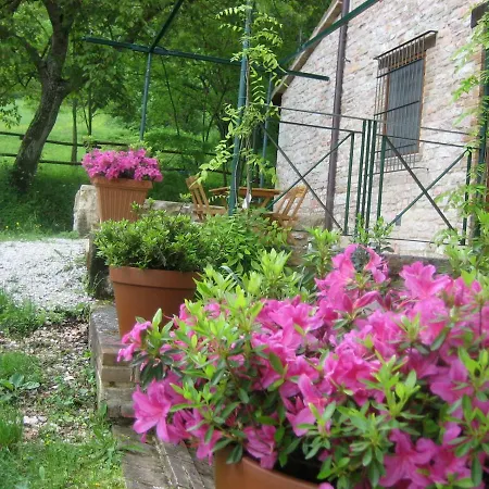Agriturismo San Lorenzo In Torre *